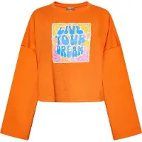 Ebeeza Sweatshirt mistura de cores / laranja
