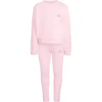 Adidas Fato de treino 'ANIMAL LEGGINGS' rosé / pó / rosa escurecido
