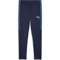 Puma Calças de desporto 'TeamLiga26' navy / azul real / azul escuro / branco