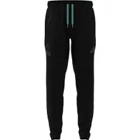 Adidas Calças Mercedes-amg Petronas F1 Team Lot Vt