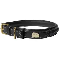 Dyon Coleira De Cachorro Plaited