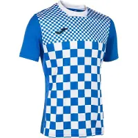 Joma Camiseta De Manga Curta Flag Iii
