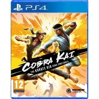 Ps4 Cobra Kai The Karate Kid Saga Continues