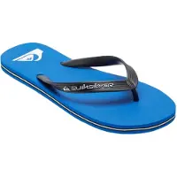 Quiksilver Chinelos Molokai Core
