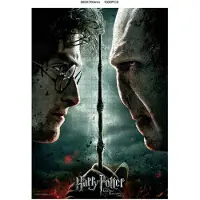 SD Toys Harry Potter Voldemort Vs Harry Quebra-cabeça 1000 Peças