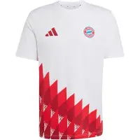 Adidas Camisola de futebol 'FC Bayern München Anthem' azul / vermelho / vermelho escuro / branco