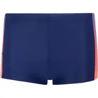 Adidas Boxers de Natação Gradiente