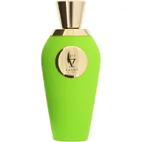 Van Canto P.D.F. extrato de perfume - 100ml