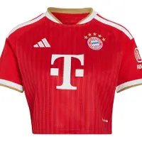 Adidas Camisola de futebol 'FC Bayern München 26/27' bege / vermelho / vermelho escuro / branco