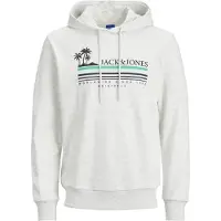 Jack & Jones Sweatshirt 'JORCodyy' azul claro / verde / preto / esbranquiçado