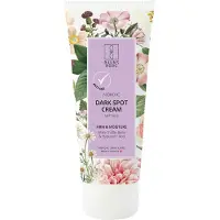 Raunsborg Creme Facial Para Manchas Escuras 100ml