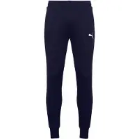 Puma Calças Teamgoal 23 Casuals
