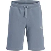 Jack & Jones Short De Treino Gordon Archive