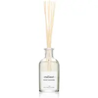 Ambientair Mandarino speziato radioso, bastoncini profumati, diffusore di aromi, 100 ml