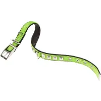 Ferplast Coleira De Cachorro Dual 20 Mm 43 Cm