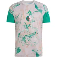 Adidas Camisola de futebol 'Algerien 26 Pre-Match' bege / ecru / verde