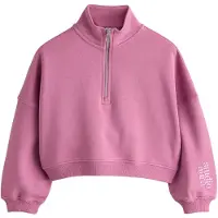 Next Sweatshirt pitaya