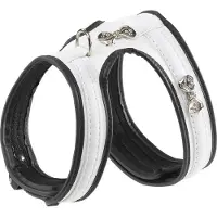Ferplast Arnês Para Cães Joy P