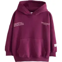 Next Sweatshirt rosa claro / vermelho vinho