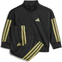 Adidas Agasalho Essentials Climacool
