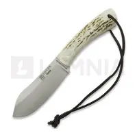 Joker Faca Nessmuk, Stag