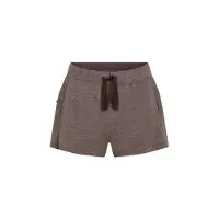 Icebreaker Calças outdoor 'Crush II' chocolate