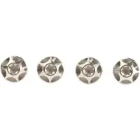 Silca Parafusos Do Suporte De Garrafa Sicuro Titanium 4 Unidades