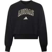 Adidas Moletom Seasonals Collegiate Typography V-neck