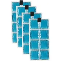 Inuteq Bodycool Pro Coolpac 21˚c/70˚f 8 Células Refrigerador 4 Peças