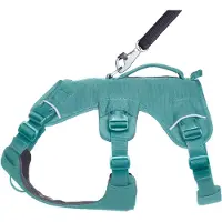 Ruffwear Arnês Para Cães Web Master