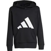 Adidas Moletom Com Capuz Essentials Big Logo