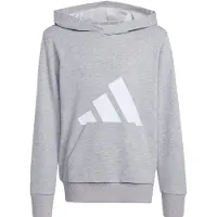 Adidas Moletom Com Capuz Essentials