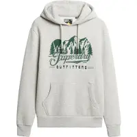 Superdry para homem. M2014357A Sweatshirt com capuz Outfitters cinza (XXL), Casual, Algodão