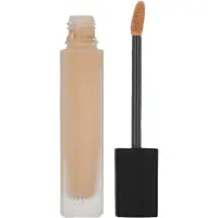 Chanel Ultra Le Teint Le Correcteur B10