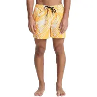 Quiksilver Calção De Banho Everyday Printed Volley 15´´