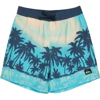 Quiksilver Calção De Banho Everyday Printed Volley 14´´