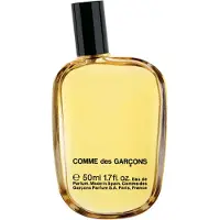 Comme des Garcons Eau De Parfum Original 50ml