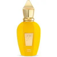 XERJOFF perfume Erba Gold EDP 50 ml