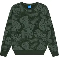 Ocean pacific Sweatshirt 'Wonthaggi' jade / verde pastel