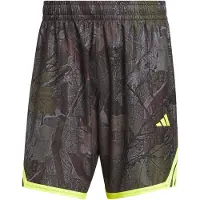 Adidas CALÇÕES CRAZY LITE CAMO AOP
