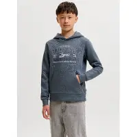 Jack & Jones Kids Moletom Com Capuz Logo 2col