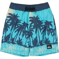 Quiksilver Calção De Banho Everyday Printed Volley 13´´