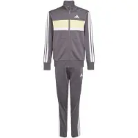 Adidas Agasalho Seasonal Essentials Tiberio 3 Stripes Tricot