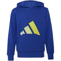 Adidas Moletom Com Capuz Essentials
