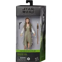 Hasbro Figura Black Series O Retorno De Jedi Princesa Vila Ewok Leia