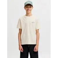Jack & jones Junior Camisola 'JORNorrebro' roxo escuro / branco