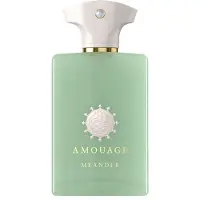 Amouage Meander Eau de Parfum Unissex 50 ml
