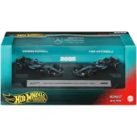 Hot Wheels Veículo Formula 1 Team Mercedes-amg Petronas 1:64
