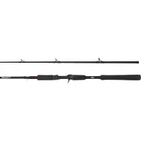 Abu Garcia Cana Baitcasting Beast Pike