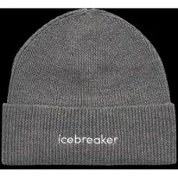 Icebreaker Gorro Merino All Day Toque